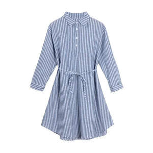 Blue and White Striped A Line Three Quarter Length Sleeve Dress